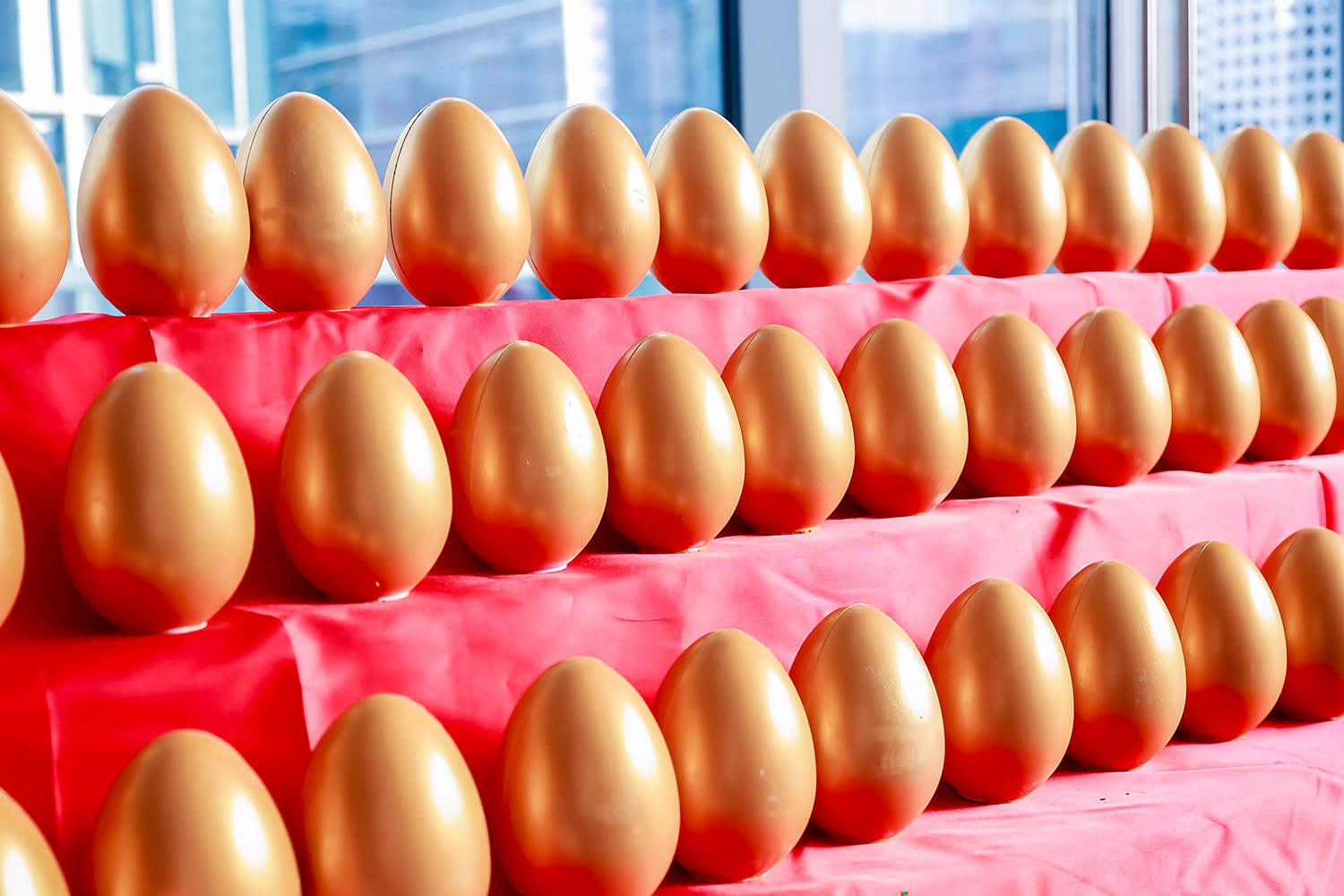 1690789232182210.jpg 砸金蛋 (2).JPG